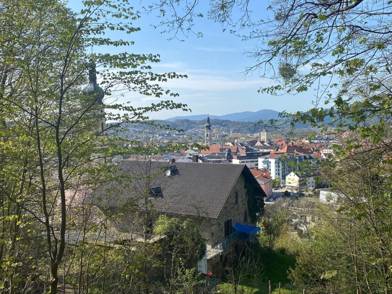 Ausblick vom Stadtwald am Geiersberg in Richtung Deggendorf